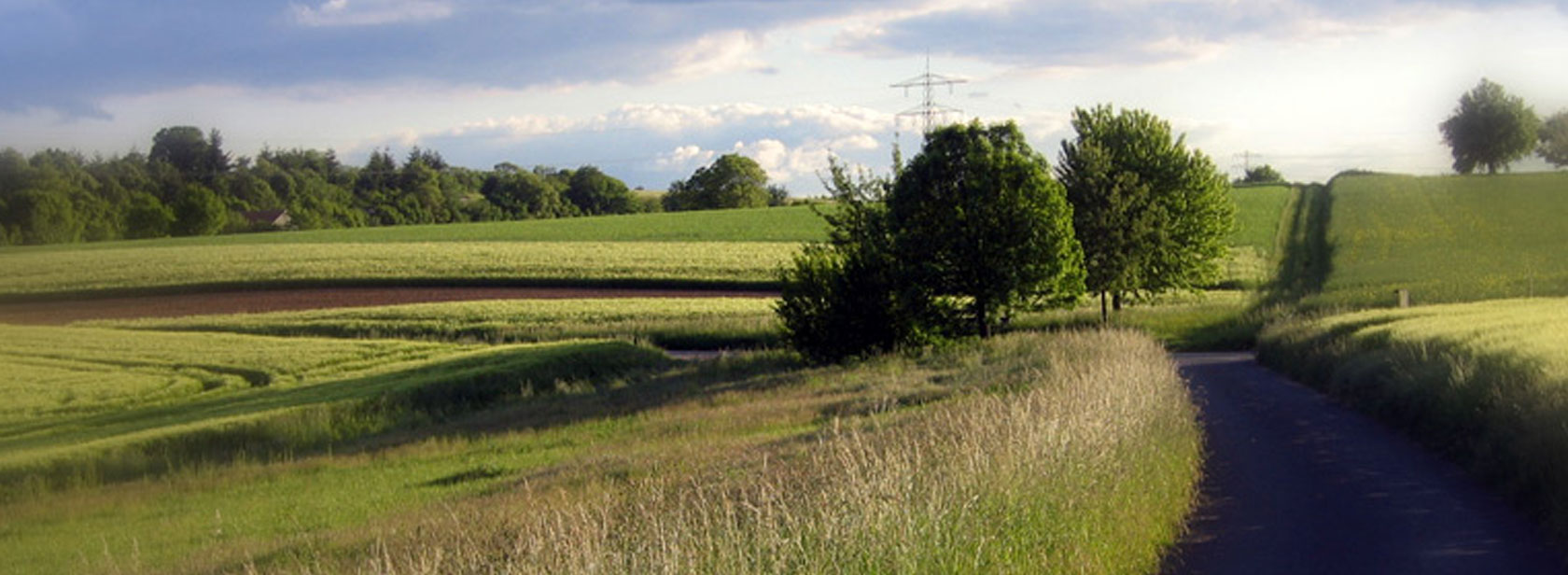 Aufbaukurs für Absolventen der Ausbildung zum Entspannungs- und Atemcoach