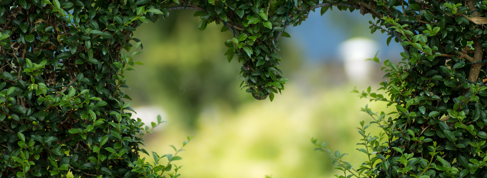 Liebe, Leben und Wandlung